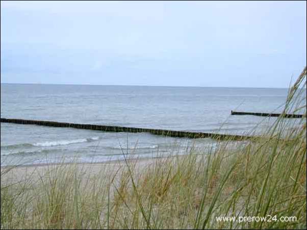 Umgebung der Ferienwohnung in Prerow an der Ostsee