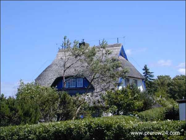 Umgebung der Ferienwohnung in Prerow an der Ostsee