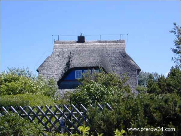 Umgebung der Ferienwohnung in Prerow an der Ostsee