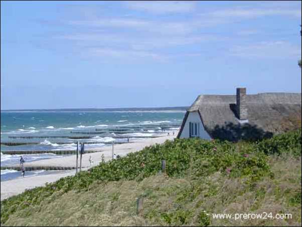 Umgebung der Ferienwohnung in Prerow an der Ostsee