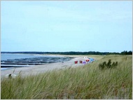 Ahrenshoop, Umgebung der Ferienwohnung in Prerow