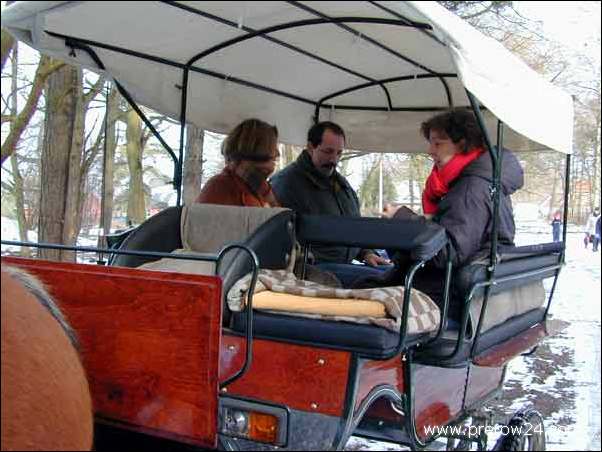 Kutschfahrt duch den Darßer Wald bei Prerow an der Ostsee