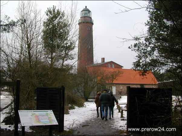 Kutschfahrt duch den Darßer Wald bei Prerow an der Ostsee