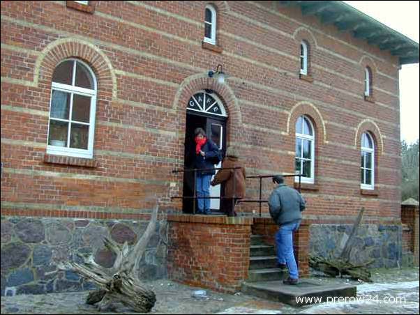 Kutschfahrt duch den Darßer Wald bei Prerow an der Ostsee