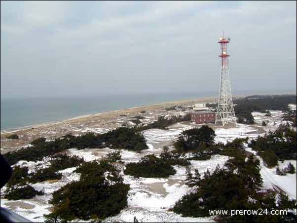 Kutschfahrt duch den Darßer Wald bei Prerow an der Ostsee