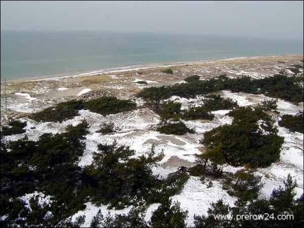 Kutschfahrt duch den Darßer Wald bei Prerow an der Ostsee