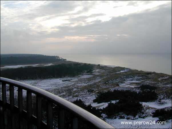 Kutschfahrt duch den Darßer Wald bei Prerow an der Ostsee