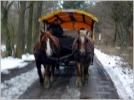 Vergrößern durch Anklicken