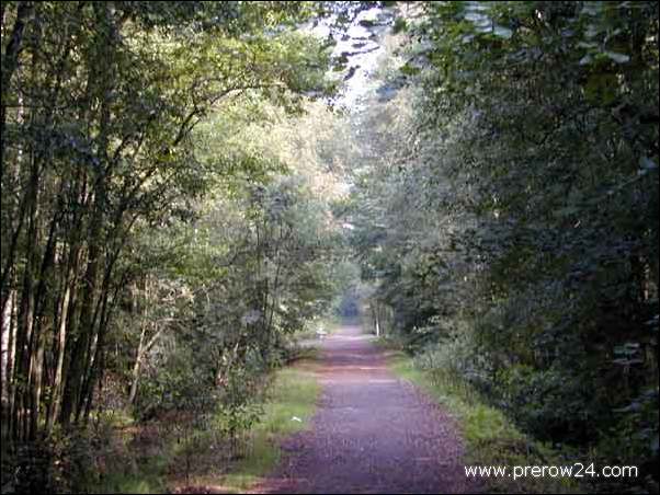 Bilder von Prerow an der Ostsee