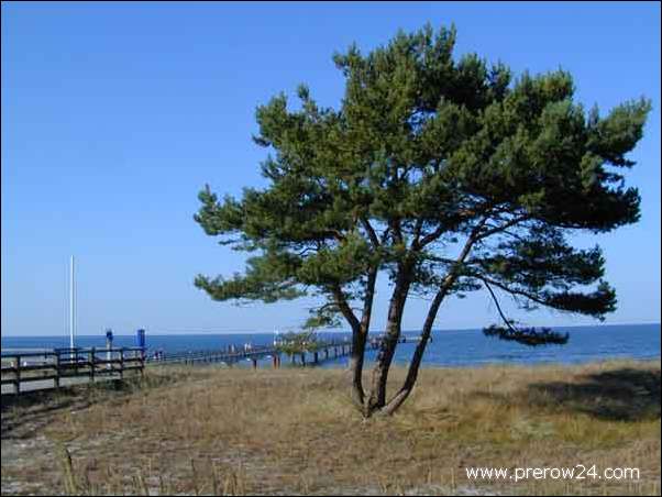 Bilder von Prerow an der Ostsee