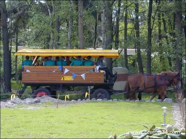 Bilder von Prerow an der Ostsee