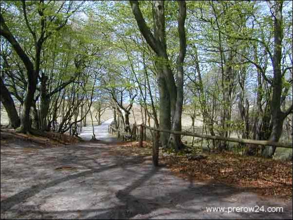 Der Weststrand von Prerow