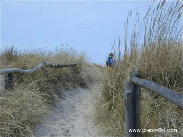 Der Weststrand von Prerow