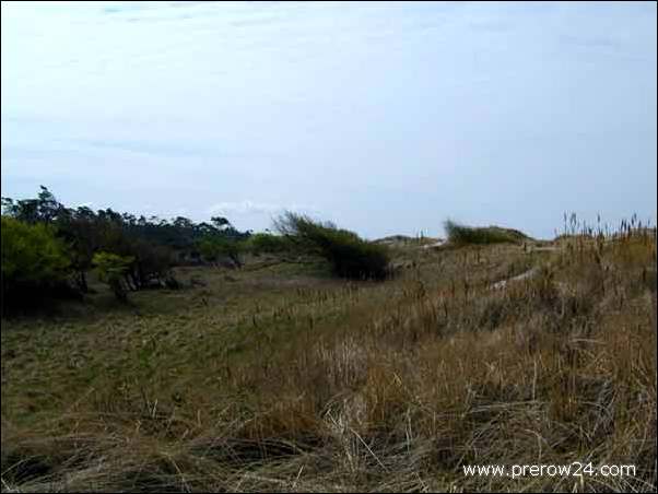 Der Weststrand von Prerow