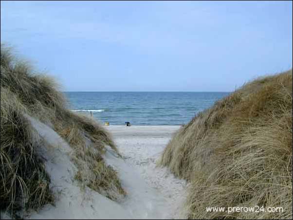 Der Weststrand von Prerow