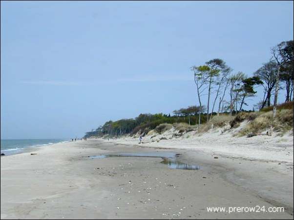 Der Weststrand von Prerow