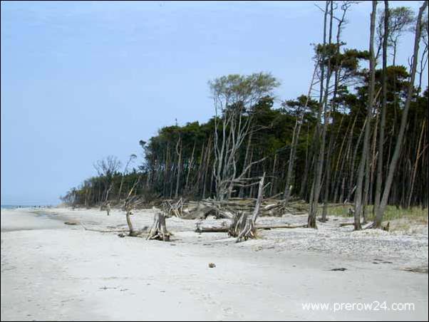 Der Weststrand von Prerow