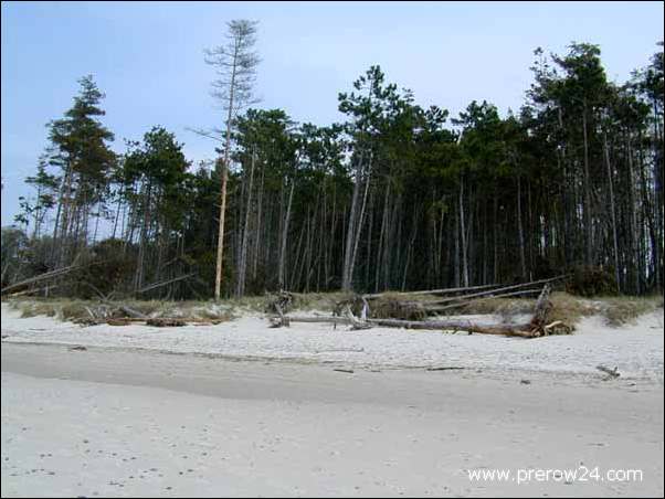 Der Weststrand von Prerow