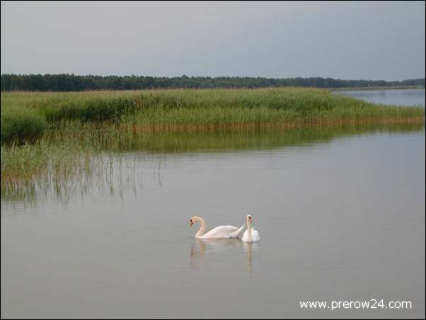 Umgebung von Prerow an der Ostsee