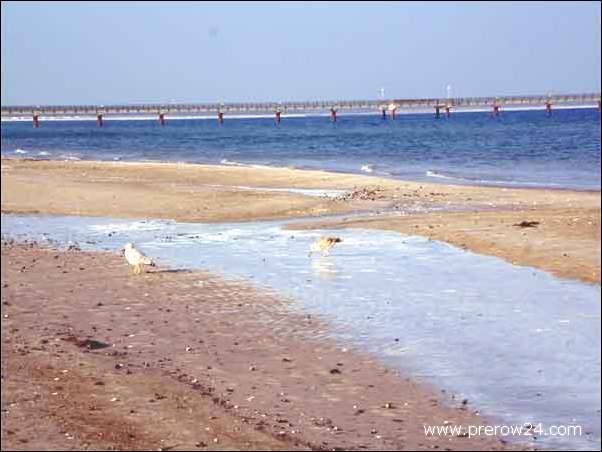 Der Strand vom Ostseebad Prerow im Winter