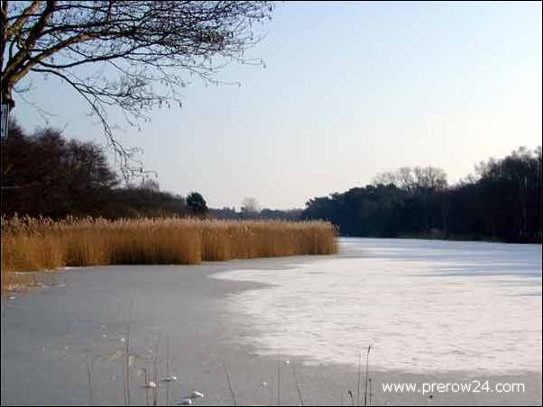 Der Strand vom Ostseebad Prerow im Winter