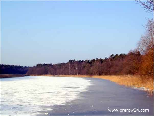 Der Strand vom Ostseebad Prerow im Winter