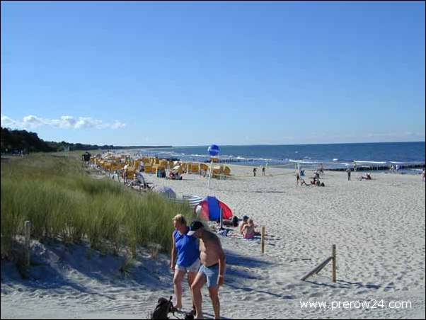 Umgebung von Prerow an der Ostsee