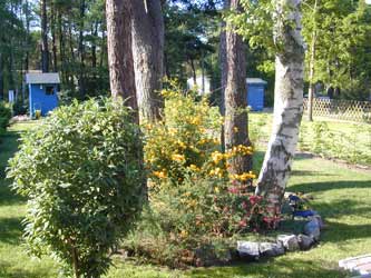 Ferienhaus 4 Bume Prerow