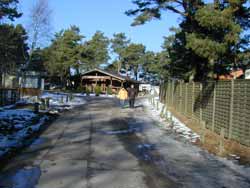 Aufgang zum Nordstrand bei Prerow